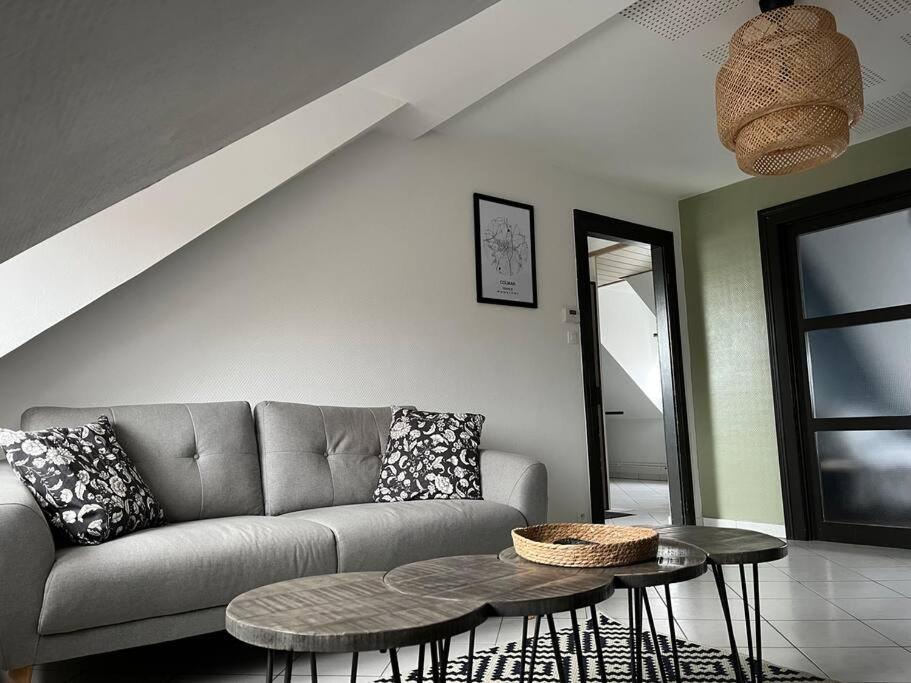 T3 Renove 60m2 Proche Centre Apartment Colmar